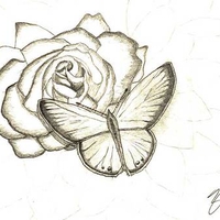 Eastern Blue On Rose