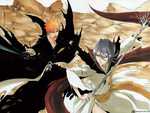 Bleach