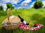 Picnic