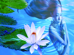 lotus lady