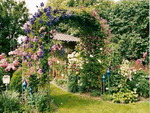 rose arbor