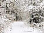 Winter Pathway
