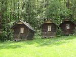 Cottages in the forest
