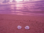 pink beach