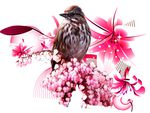Pink Bird Bloom