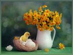 Flowerful  Chick