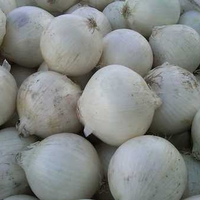 white onions