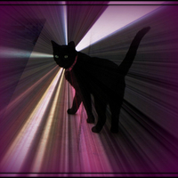 Ariel through a Prism