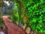Brick Path