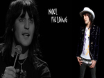 Noel Fielding