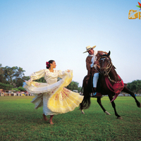 Galante Caballo de Paso