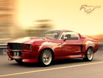 Shellby Mustang