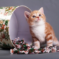 Just looking for something...