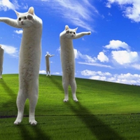Longcat invades desktop
