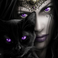 Purple Cats Eyes