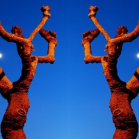 Arms and Feet Skyward