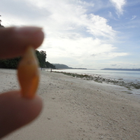 kalapathar beach,india