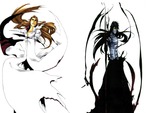 Ichigo and Aizen
