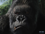 King Kong\'s Face