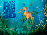 Under the Sea 3D