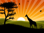 African-sunset