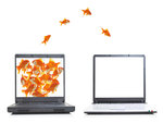 GOLDFISH COMPUTER