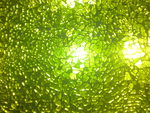 green lighted precious crystals