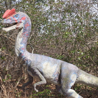 Dilophosaurus Standing