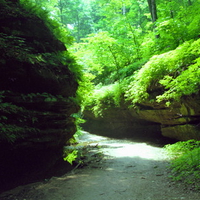 Turkey Run State park