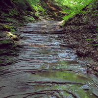 Turkey Run State Park