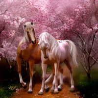 Fantasy horses