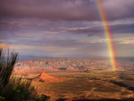 desert rainbow