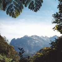 Kinabalu