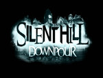 silent hill : downpour