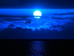 BLUE MOON NIGHT