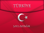 turkiyem tamer