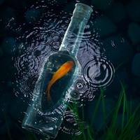 Goldfish in a bottle