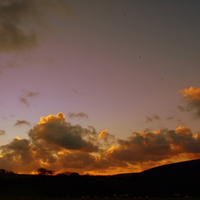 Dusk on Exmoor