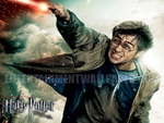 harry potter 7 01