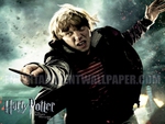 harry potter 7 07
