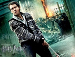 harry potter 7 012