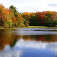 Lake in Autumn