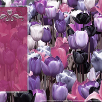 Tulip Field with Icon Panel II
