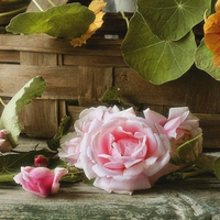 Natural beauty is everywhere