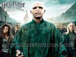 Harry Potter 7 Part 2 in Voldemort Team