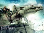 Harry potter 7 Part 2 In Dragon