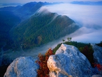 MOUNTAIN FOG