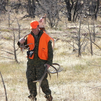 Hunting or Searching