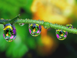 Colorful Waterdrops