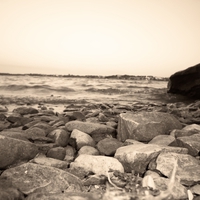 Rocky Shore